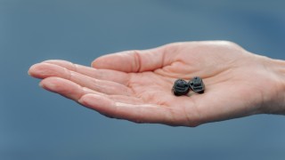 Yeni Nesil İşitme Cihazlarıyla Hayatı Duyun!