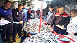 Yenişehirde balık pazarına sıkı denetim