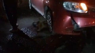 Yolda doğum yapan manda, yavrusuyla otomobil altında kalarak telef oldu