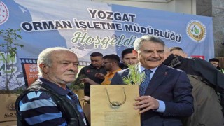Yozgatta 110 bin fidan toprakla buluşacak