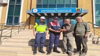 Yozgatta yaralı çakır kuşu bulundu