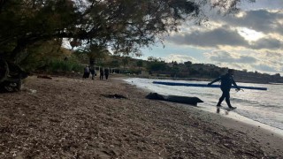 Yüzerek karaya çıkan 2 düzensiz göçmen kurtarıldı