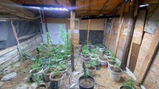 Zahir tacirlerinin kurduğu sistemi jandarma bozdu