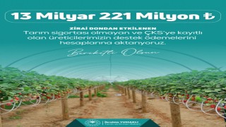 Zirai dondan etkilenen çiftçilere 13 milyar 221 milyon lira destek ödemesi yapılacak