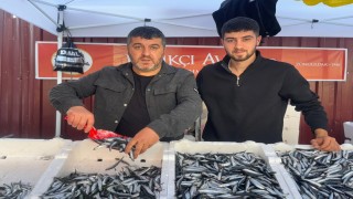 Zonguldakta hamsinin fiyatı 75 liraya düştü