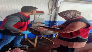 Zonguldakta su ürünleri denetimleri sürüyor