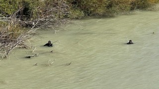 11 gün önce kaybolan engelli şahsın Göksuda cansız bedeni bulundu
