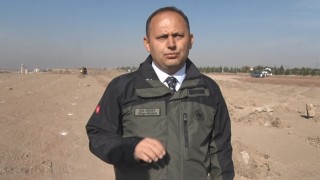 11 Kasım Milli Ağaçlandırma Günü için hazırlıklar sürüyor: Ankarada 423 bin fidan toprakla buluşacak