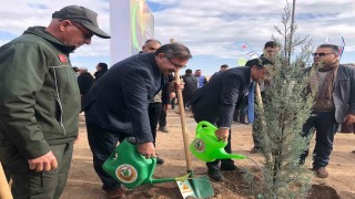 11 Kasım Milli Ağaçlandırma Gününde 20 bin fidan dikildi