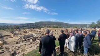 4 bin yıllık Hyllarima Antik Kentinde Zeytin hasadı