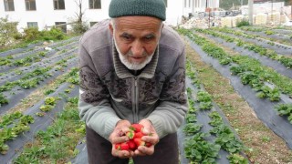 85 yaşındaki İbrahim dede Hayır Bahçesinde yetiştirdiği meyve ve sebzeleri ücretsiz ikram ediyor