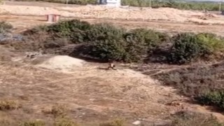 Adanada nefes kesen kovalamaca: Firari hükümlü boş arazide yakalandı