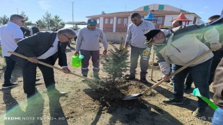Afyonkarahisarda binlerce fidan toprakla buluşturuldu