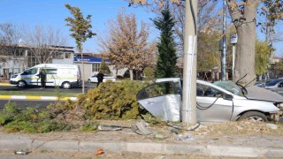 Ağaca çarpan otomobil ikiye bölündü: 2 ölü 1 yaralı