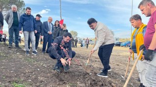 Ağaçlandırma günü etkinliği Havranda gerçekleştirildi