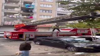 Ağaçta mahsur kalan kediyi kurtarmak için seferber oldular