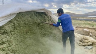 Ağrıda besiciler kış hazırlıklarına başladı