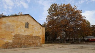 Ahi Evran Külliyesinde sonbahar güzelliği