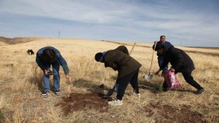 Ahlatta Maziden Atiye programı kapsamında öğrenciler fidan dikti