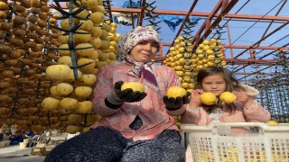 Alaşehirde ilk kez Cennet Hurması Festivali düzenlenecek