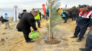 Ali Dağının zirvesine 1111 fidan