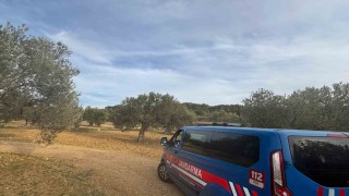 Aliağada zeytin hasadı başladı, güvenlik önlemleri artırıldı