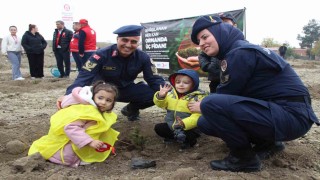 Amasyada 4 binden fazla fidan toprakla buluştu