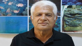 Amatör kıyı balıkçısının oltasına köpek balığı takıldı