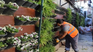 Antalyada 4 milyon çiçek toprakla buluşuyor