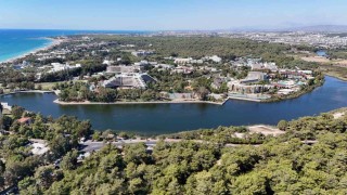 Antalyada endemik türlere ev sahipliği yapan ormanlık alanlar tel çitle çevrilecek