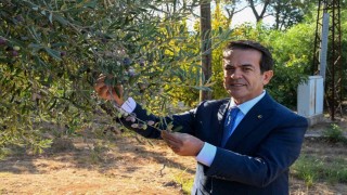 Antalyanın sıvı altını yarışacak