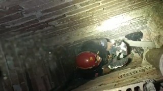 Apartman boşluğunda mahsur kalan yavru kediyi itfaiye kurtardı