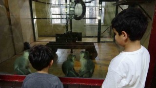 Ara tatile çıkan öğrenciler soluğu hayvanat bahçesinde aldı