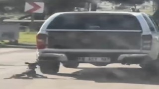 Araçla metrelerce sürüklenen köpek telef oldu: 2 gözaltı