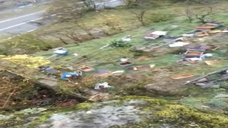 Araklıda ayılar 50den fazla kovanı telef etti