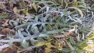 Ardahanın Göle ilçesi Türkiyenin en soğuk yerleşim yeri oldu