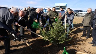 Arnavutköyde Gazze için 10 bin fidan dikildi