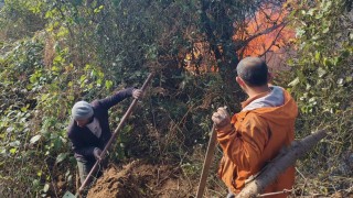 Artvin Hopada 5 hektarlık alanı küle çeviren yangınla mücadele sürüyor