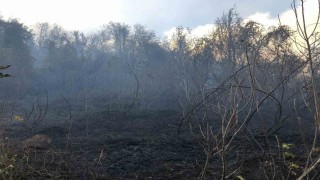 Artvin Hopada ziraat alanında çıkan yangın ormana sıçradı