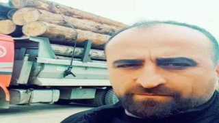 Artvinde üzerine ağaç devrilen şahıs hayatını kaybetti