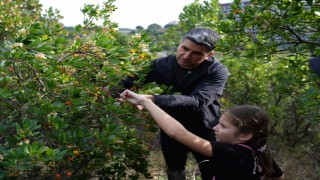 Ataşehirde 438 metre yükseklikte çilek festivaline akın ettiler