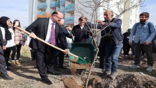Atatürk Üniversitesinden millî ağaçlandırma gününe destek