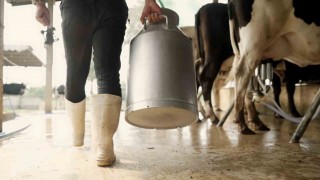 Aydında 9 bin 543 üreticiye toplam 66 milyon TL ödeme yapılacak