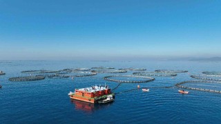 Aydında su ürünleri destekleme başvuruları başladı