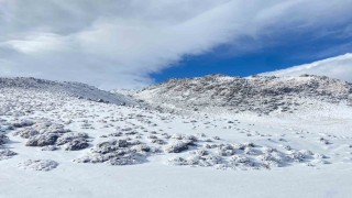 Aydınlarda kar yağışı