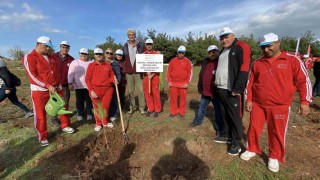 Ayvalıkta ertelenen fidan dikim etkinliğine ilgi yoğun oldu