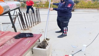 Bacaya sıkışan kediyi itfaiye kurtardı