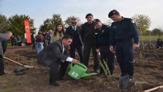 Bafrada 8 bin fidan toprakla buluştu