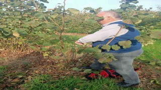 Bahçelerde toprak analizi ve zararlı tespiti