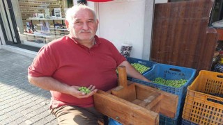 Balıkesirde kırma zeytinlerin hazırlanmasına başlandı